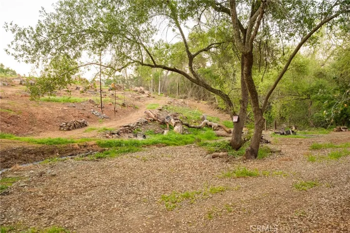 Trails and PGE Easement area