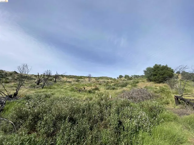 View of local wilderness featuring rural landscape