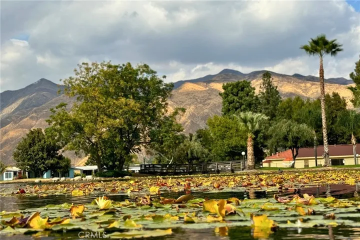 2230 Lake Park 207, San Jacinto, California 92583
