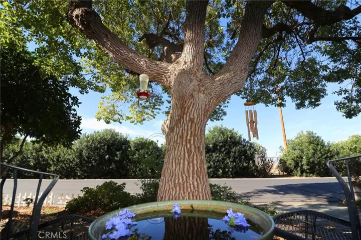 2230 Lake Park 207, San Jacinto, California 92583