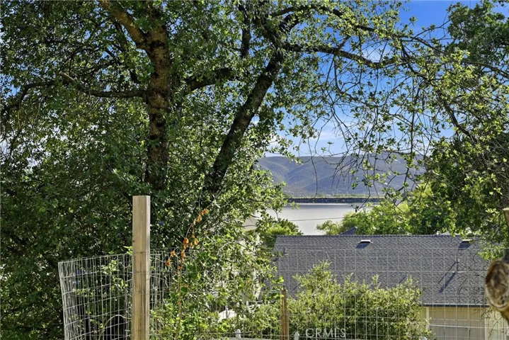 Backyard View