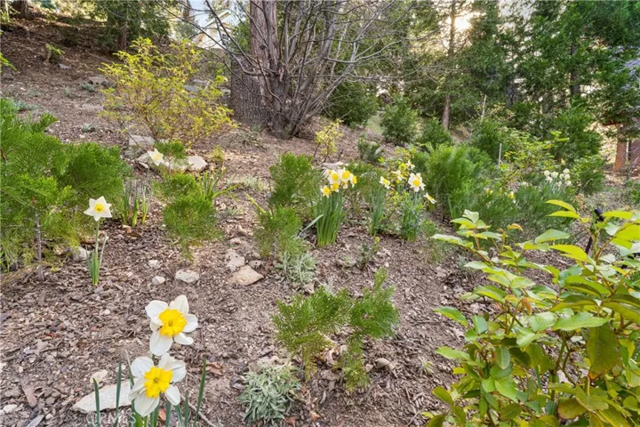 197 Massive Road, Lake Arrowhead, California 92317