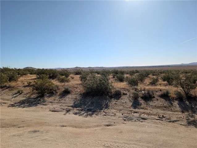 Looking East Across