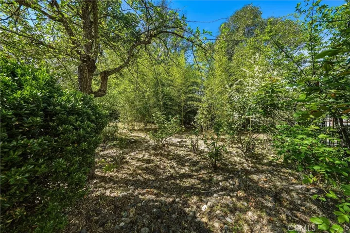 150 Clearlake, Lakeport, California 95453
