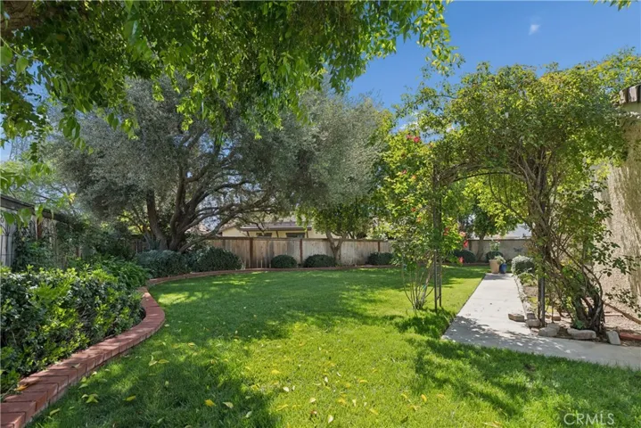 Large Backyard