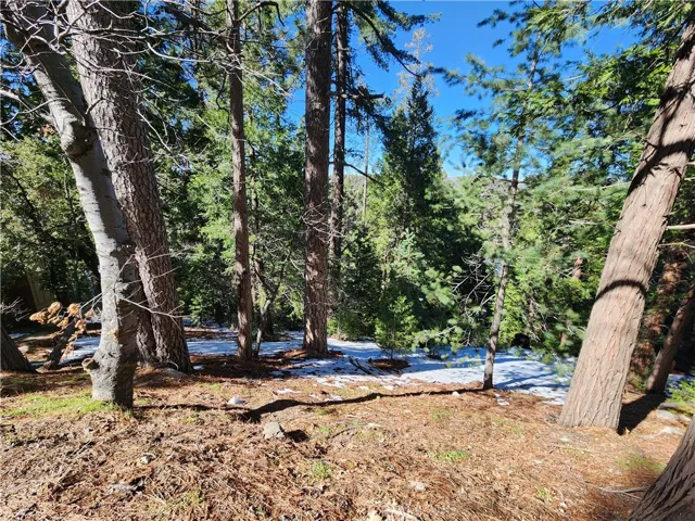 26236 Boulder Lane, Twin Peaks, California 92391
