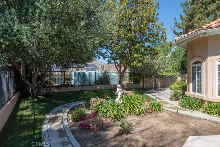 Back yard