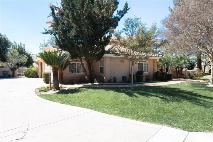 Driveway/ side yard