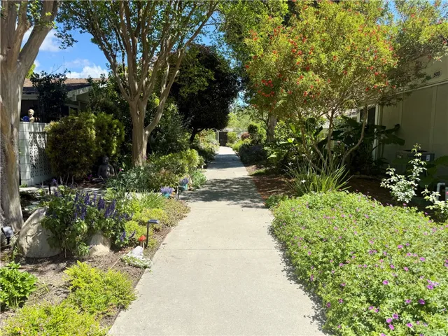 Beautiful walkway from the carport