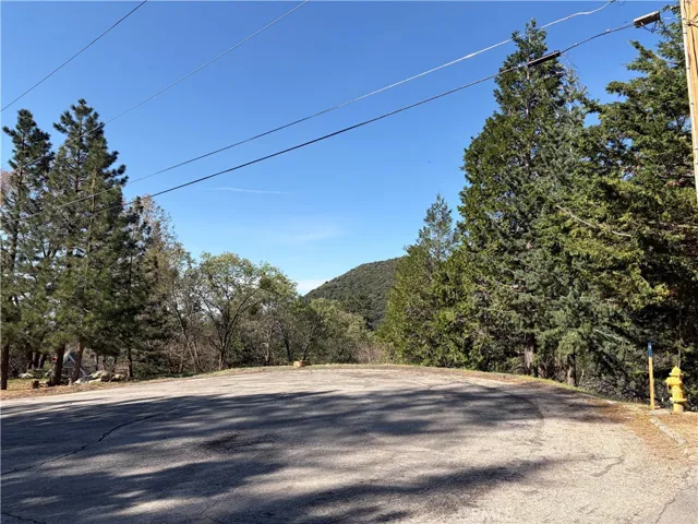 VIEW FROM BEGINNING OF DRIVEWAY