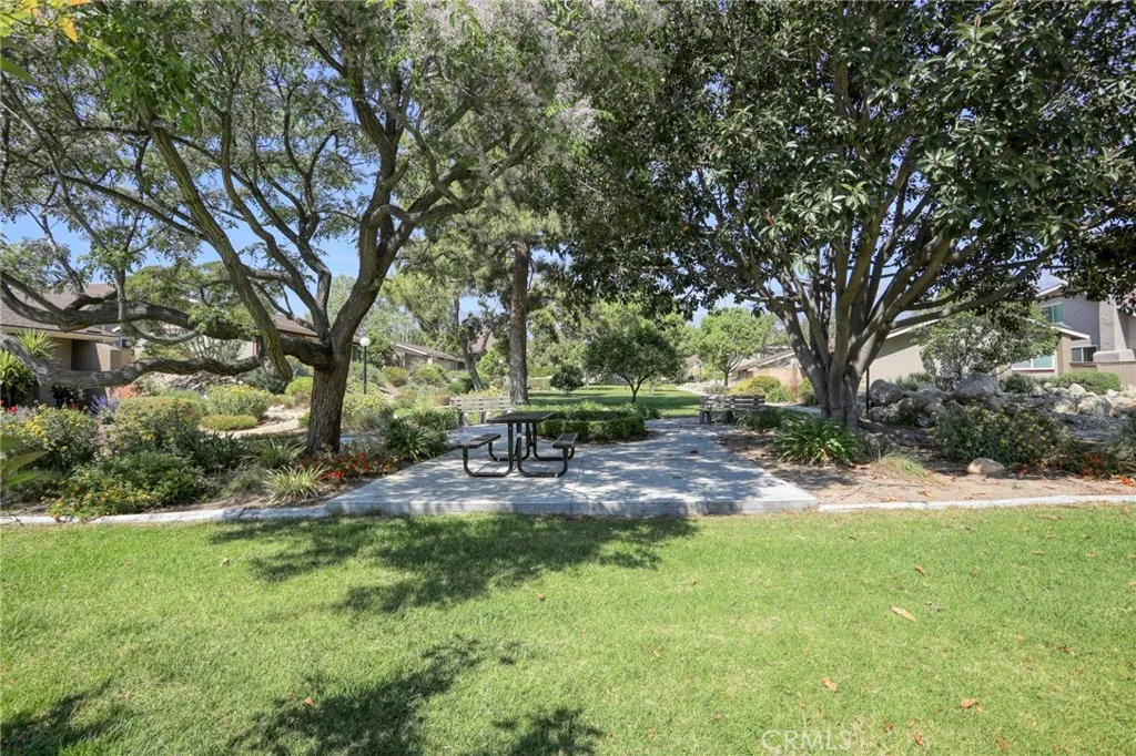 Have a Picnic in Your Community. Enjoy Family Time Together