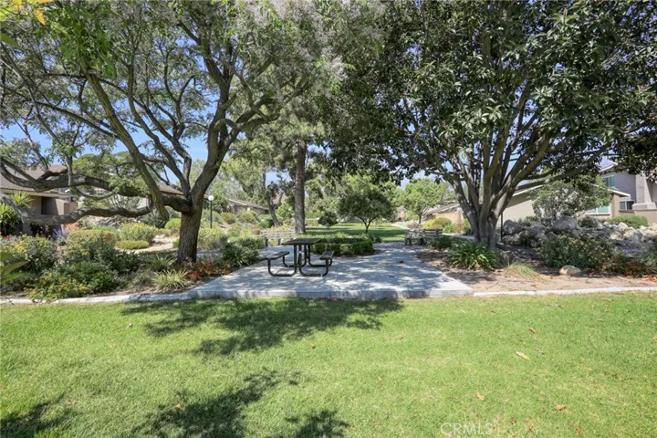 Have a Picnic in Your Community. Enjoy Family Time Together