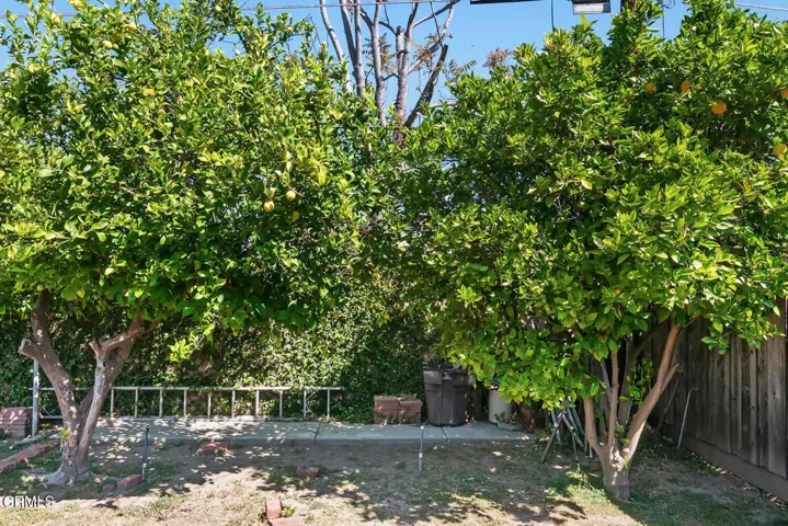 17835 Tarzana St Encino CA-large-045-032