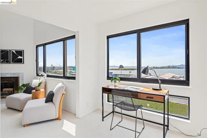 Office space with light colored carpet, a premium fireplace, and a water view
