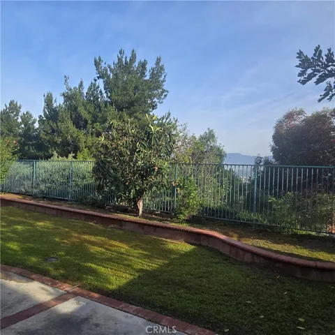 Backyard view