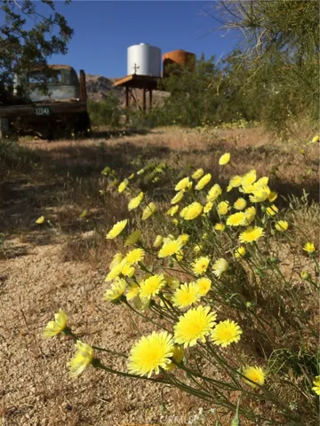 SPRINGTIME AT TWIN TANKS