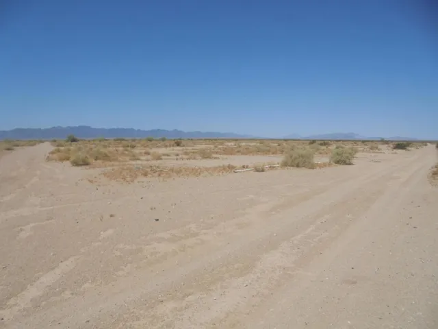 DSC06905
