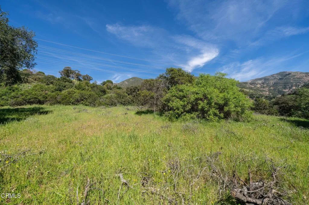 4700 Rising Hill Road, Altadena, California 91001 — photo 5