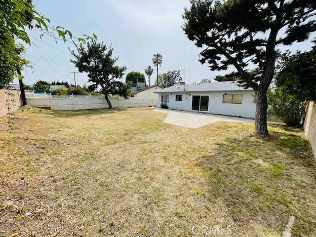 Back Yard