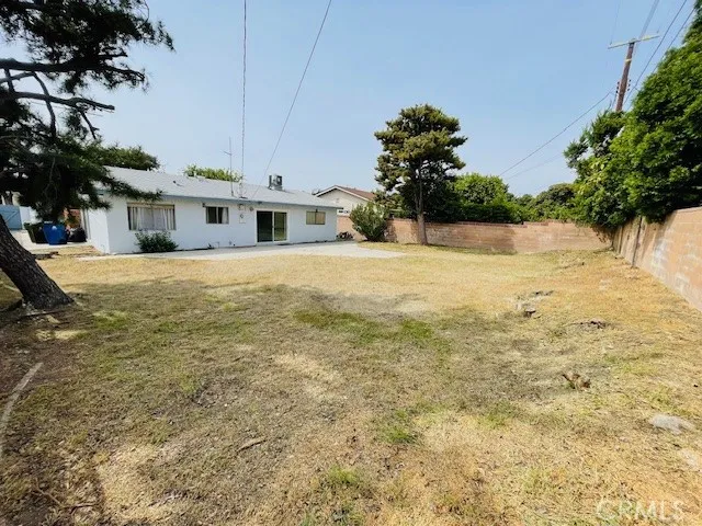 Back Yard