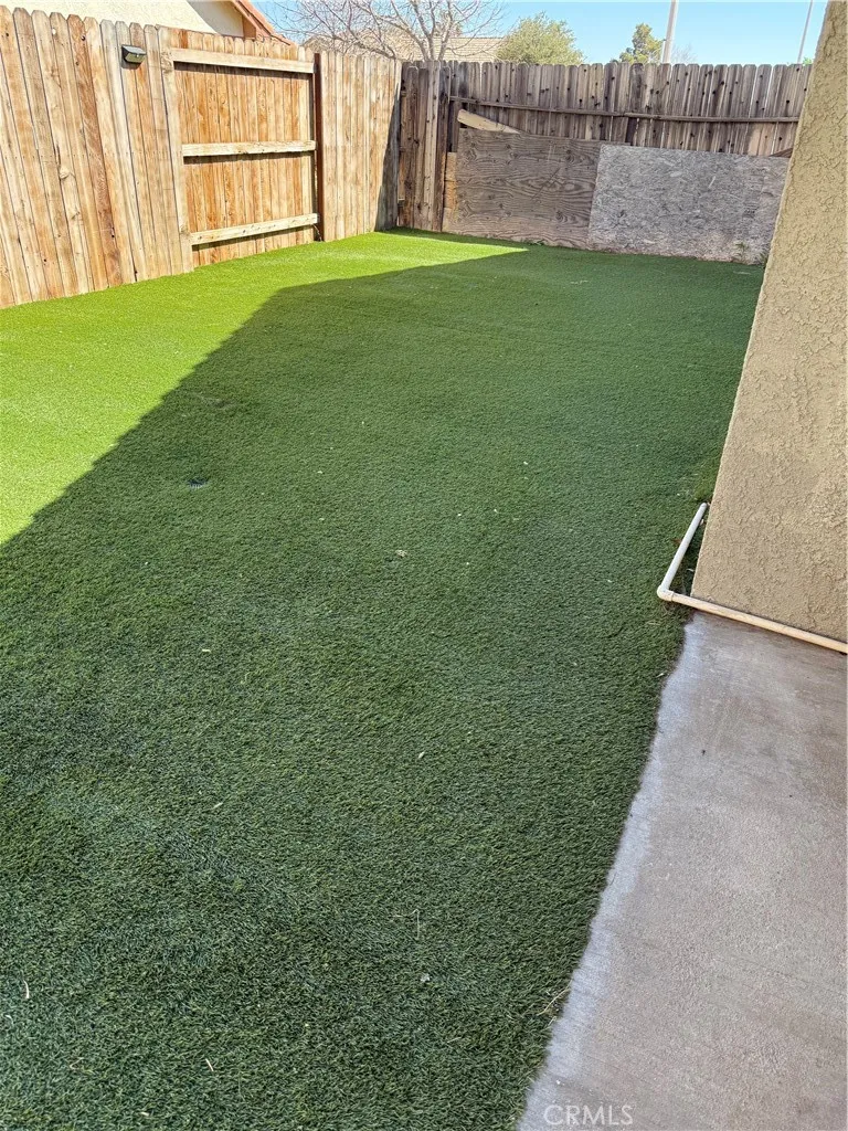 South side of home yard