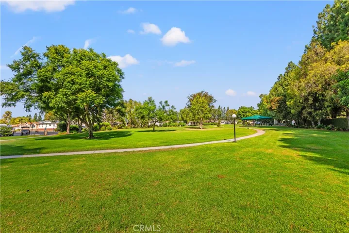 Community Park
