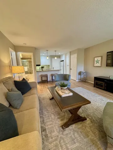 Living Area Kitchen and Guest Bath