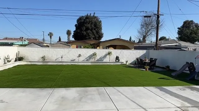 Backyard View Photo