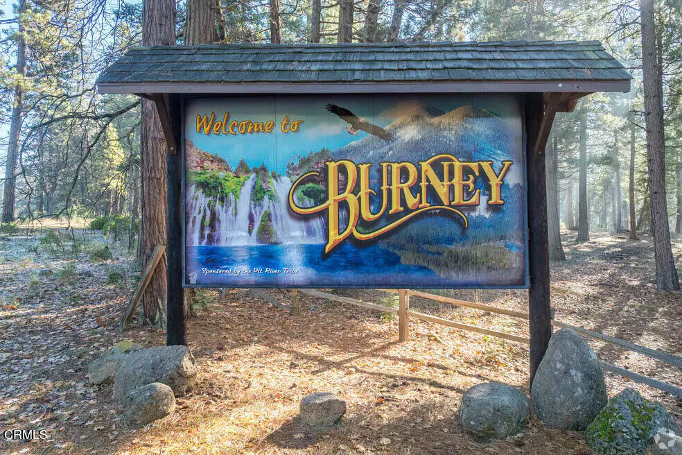 burney-ca