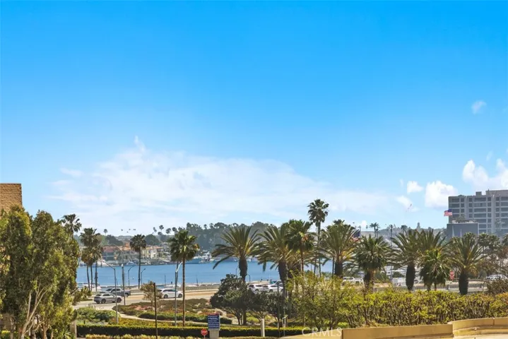 Newport Harbor