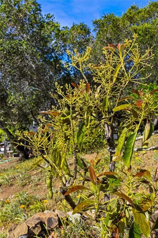 957 Skyline Drive, San Luis Obispo, California 93405