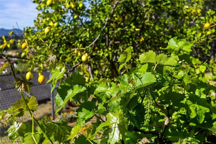 957 Skyline Drive, San Luis Obispo, California 93405