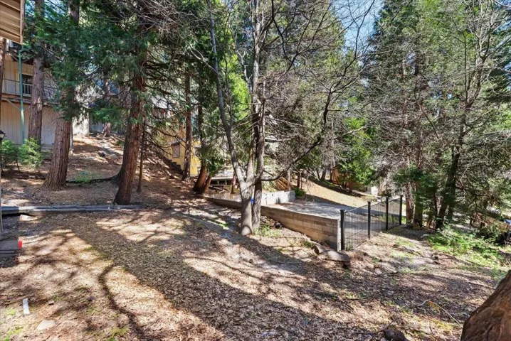 44-Backyard