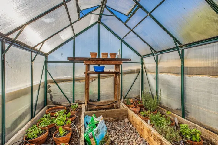 Greenhouse