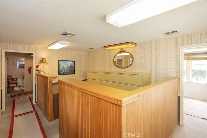 Expansive Counter and Desk Space