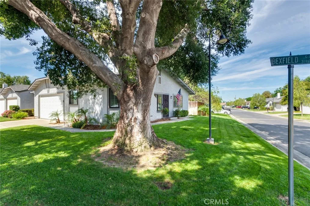 Front Yard Area with Cul-De-Sac