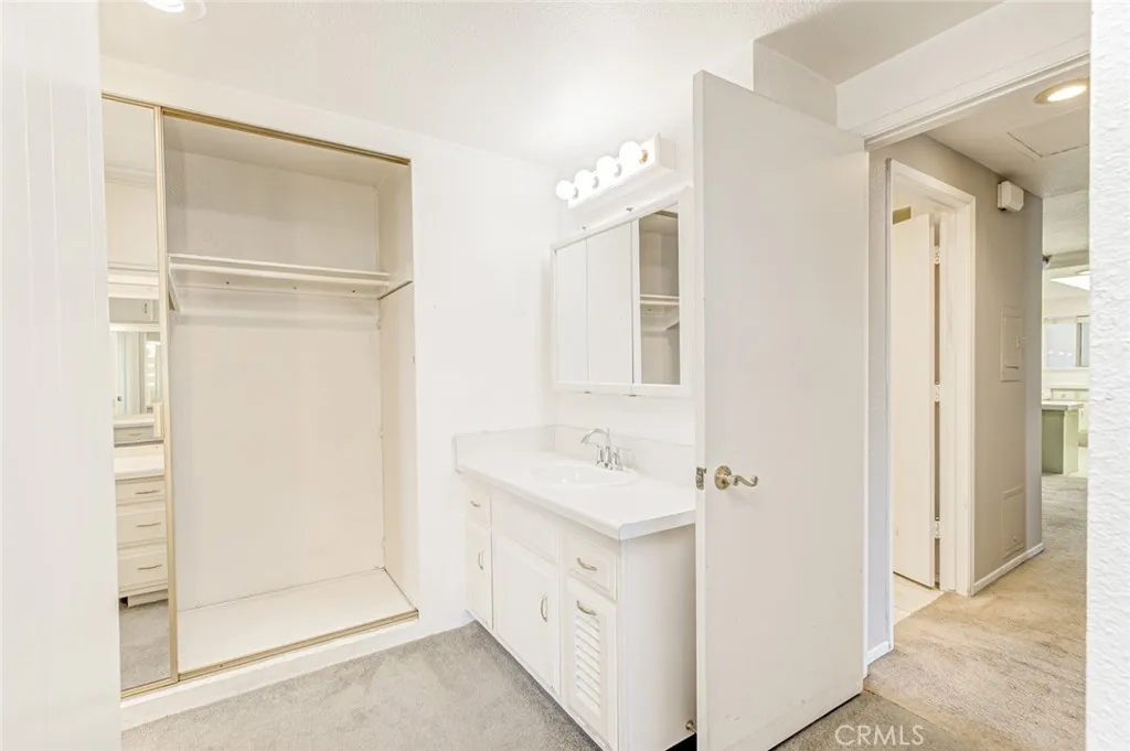 Master bathroom area