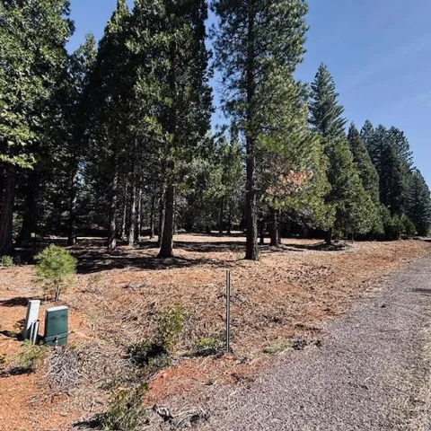 806 Red River Drive, Lake Almanor, California 96137
