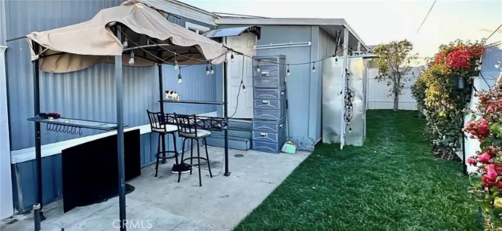 Back yard