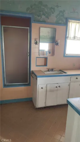 Downstairs bathroom