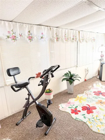 sunroom/ exercise room