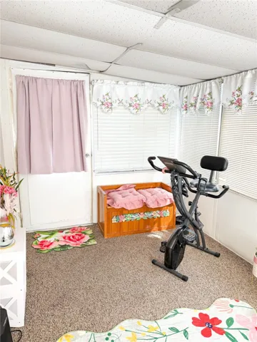 Sunroom/exercise room