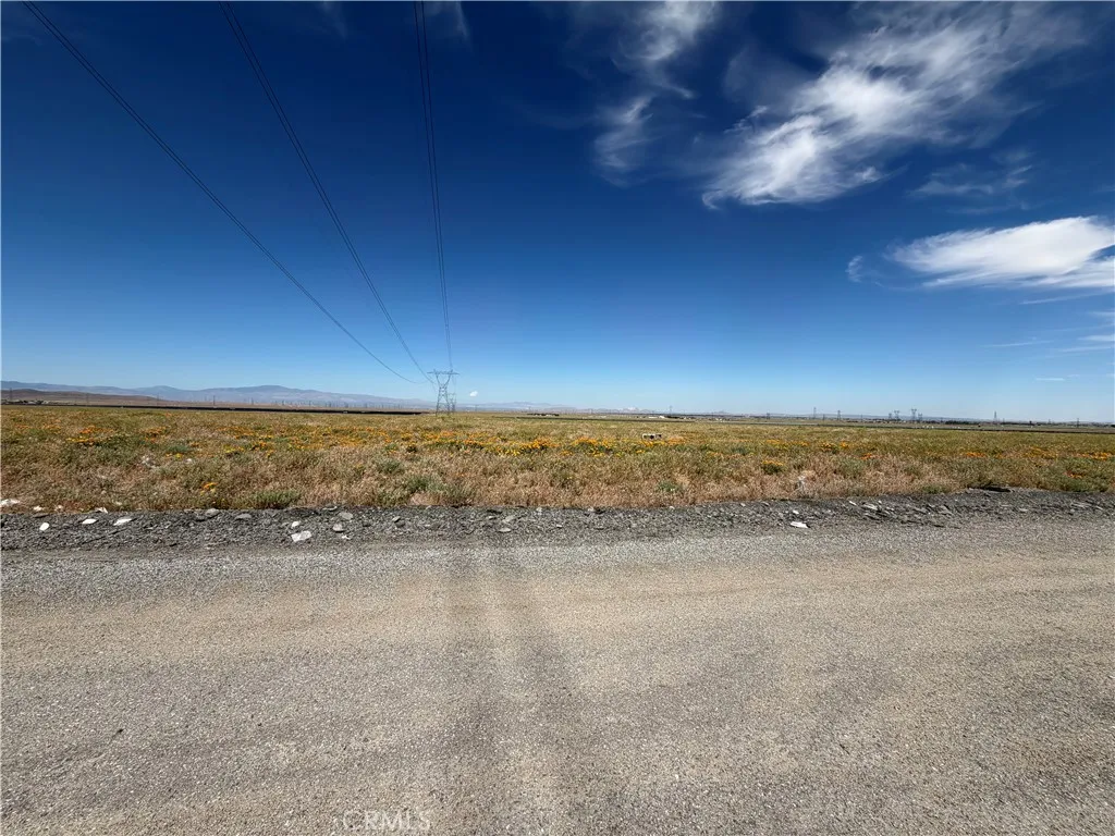 Open landscape with development potential