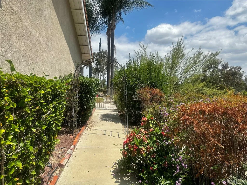 Walkway to rear yard