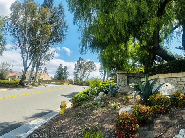 Orchard View Street View