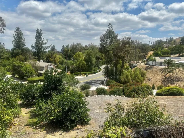 View from Side Yard