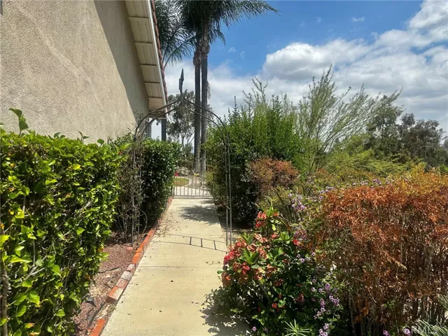 Walkway to rear yard