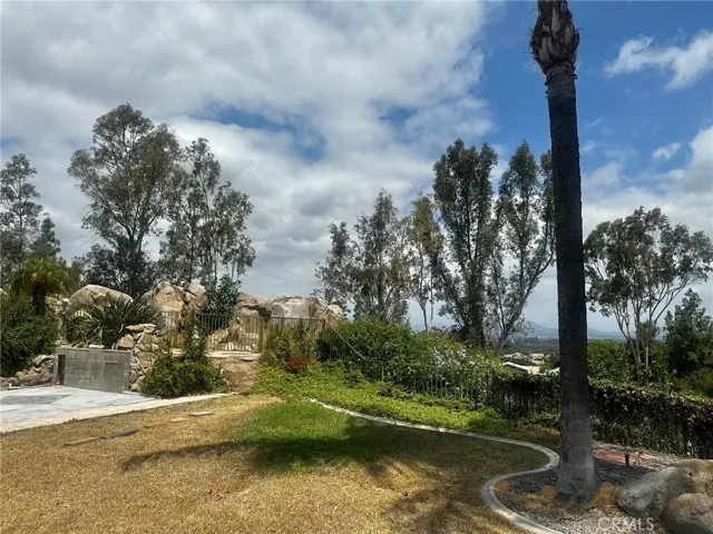 Portion of Rear Yard