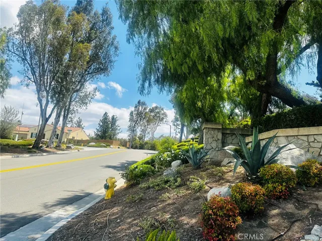 Orchard View Street View