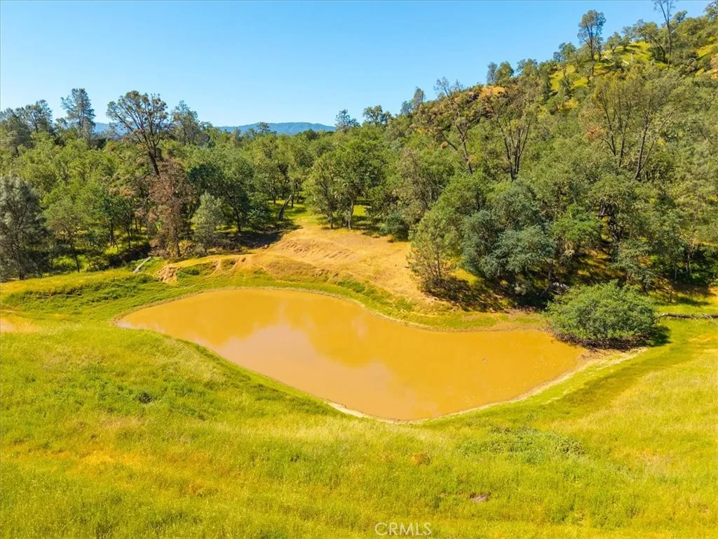pond